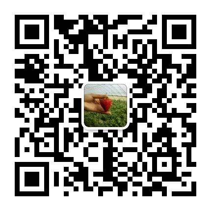 掃描關注網站微信公眾賬號